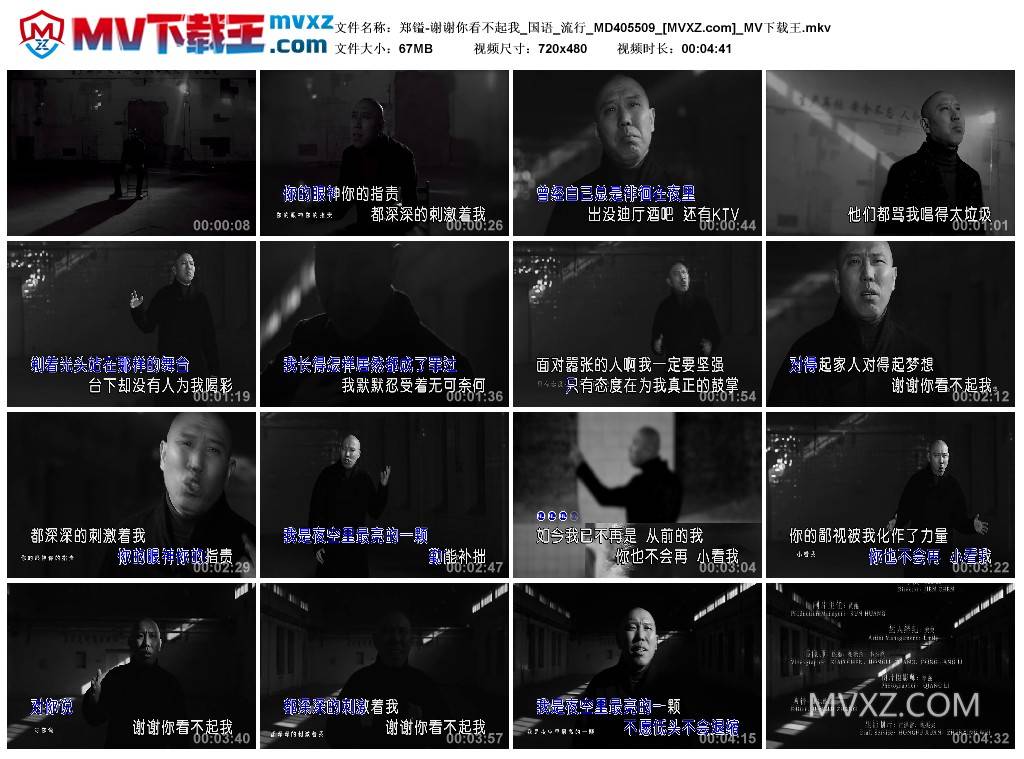 郑镒-谢谢你看不起我_国语_流行_MD405509